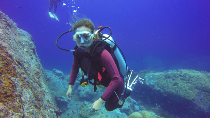Underwater Marine Life in Maldives